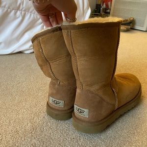 short chestnut ugg